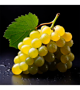 White Grapes Natural flavour